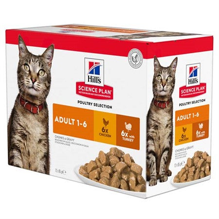 SP Hills Feline Chicken & Turkey Adult +1-6 12x85g