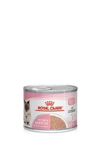 Royal Canin Katt Mother & Babycat Mousse 195 g