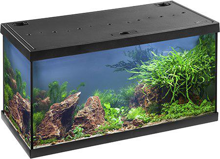 Eheim Aquastar 54L Led Svart Komplett 60X30X30Cm