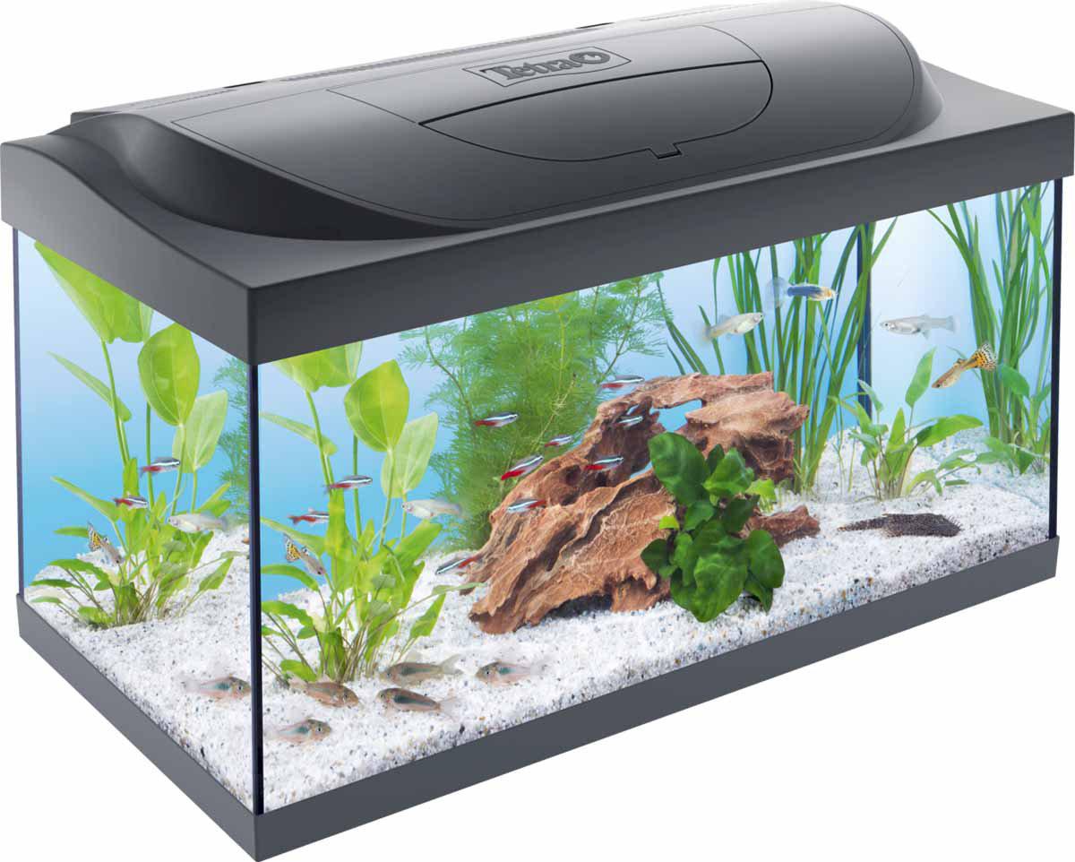 Tetra Starter Line Led Svart 54L