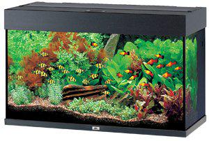 Juwel Akvarium Led Rio 125 Svart 81X36X50Cm 125L