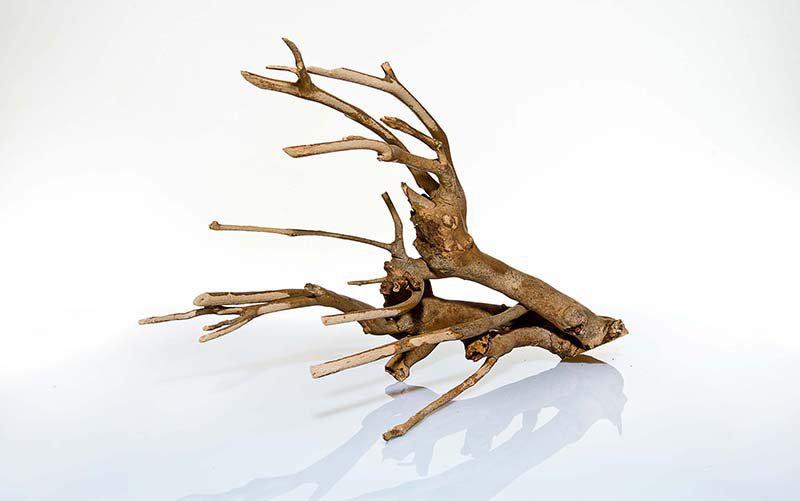 Talawa Wood 30-45Cm