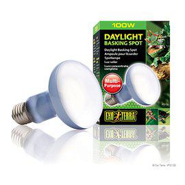 Daylight Basking Spot 100W R25 E27 Exoterra Grön