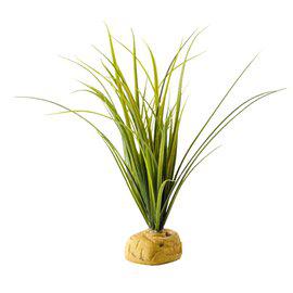 Turtle Grass Exoterra