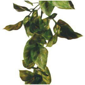 Amapallo S Plastväxt Exoterra