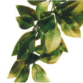 Mandarin L Plastväxt Exoterra