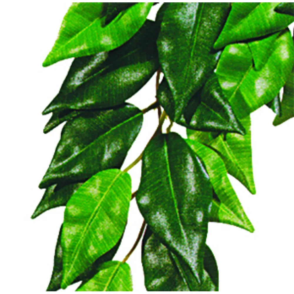 Ficus L Plastväxt Exoterra
