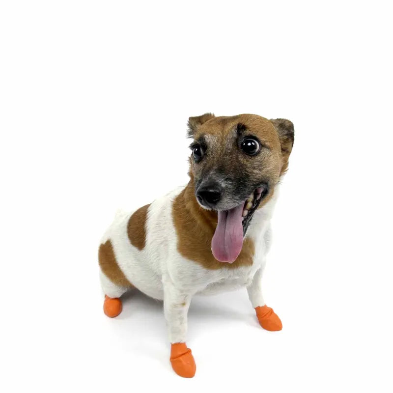 Pawz Hundsko, x-Small Tiny, 5,1Cm Orange 12St