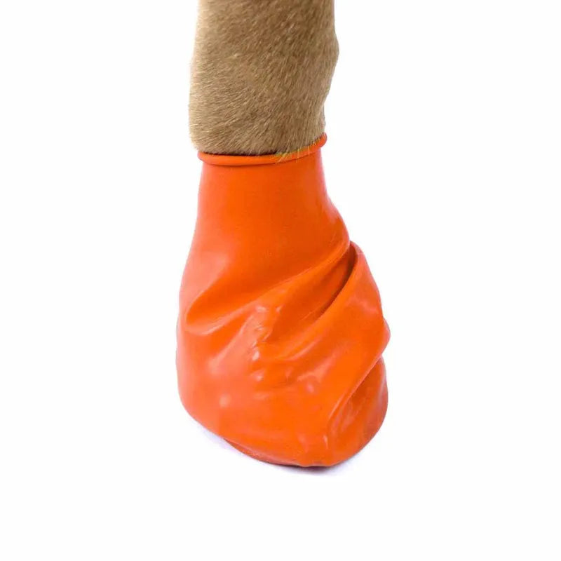 Pawz Hundsko, x-Small Tiny, 5,1Cm Orange 12St
