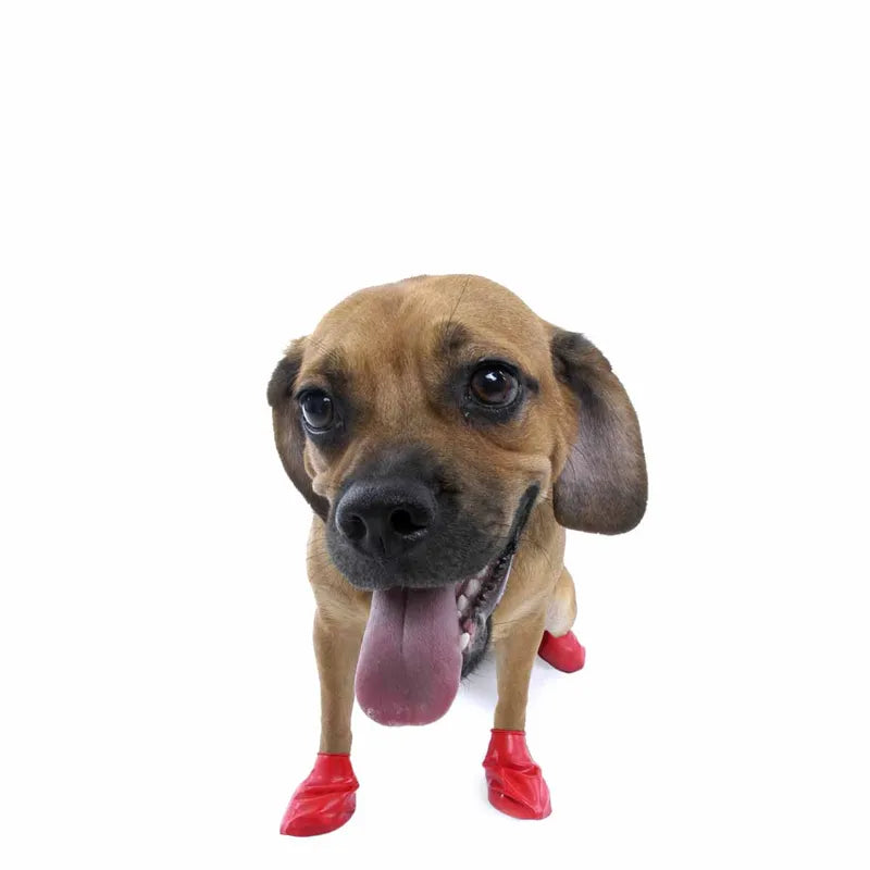 Pawz Hundsko, Small Tiny, 6,5Cm Röd 12St
