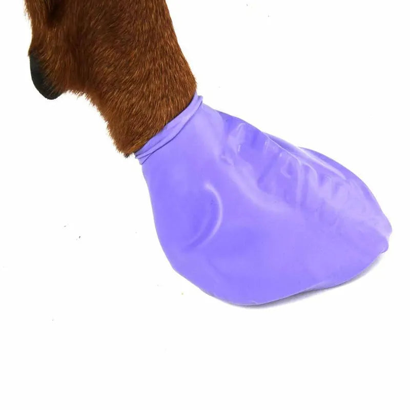 Pawz Hundsko Large 10,2Cm Lila 12St