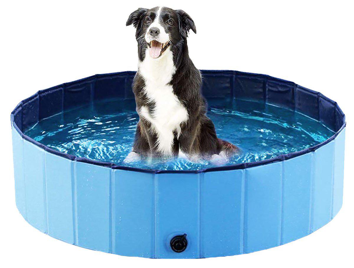 Dog Pool 80X20Cm Ozami Blå