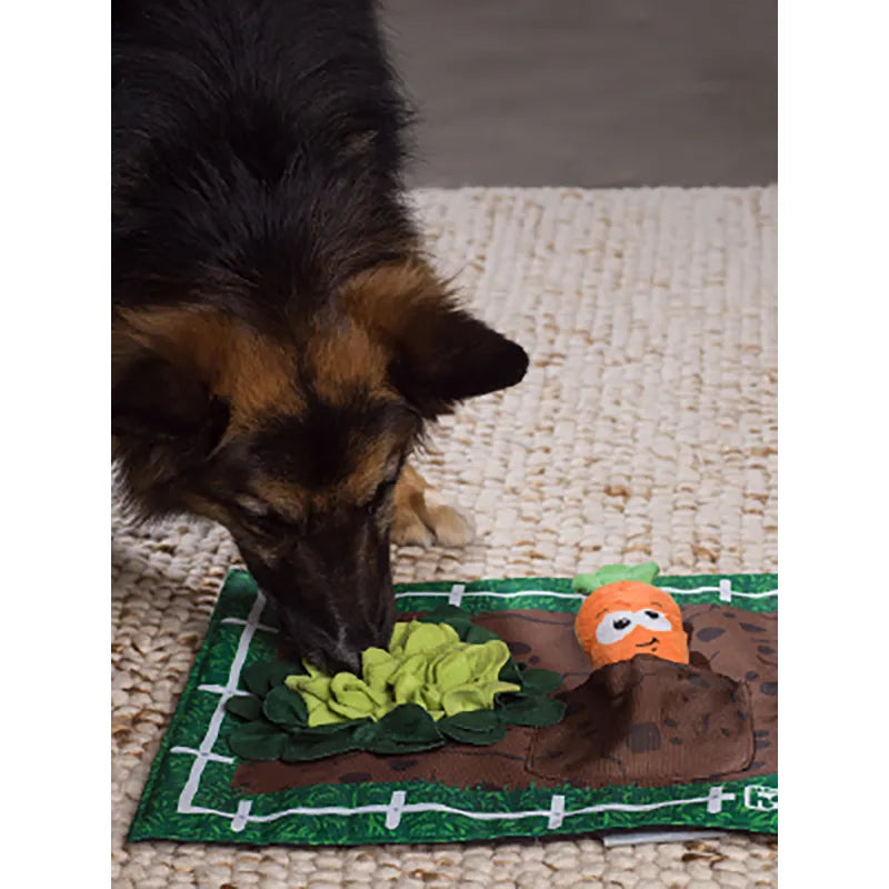 Oh Activity Matz Garden Game