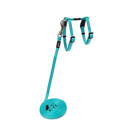 Rogz Alleycat Sele Med Koppel Xs Turkos8mm