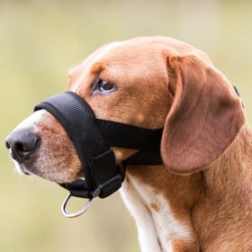 Muzzle Loop