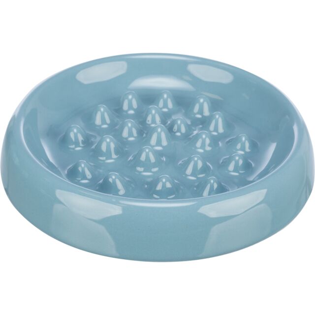Slow Feeding Ceramic Bowl