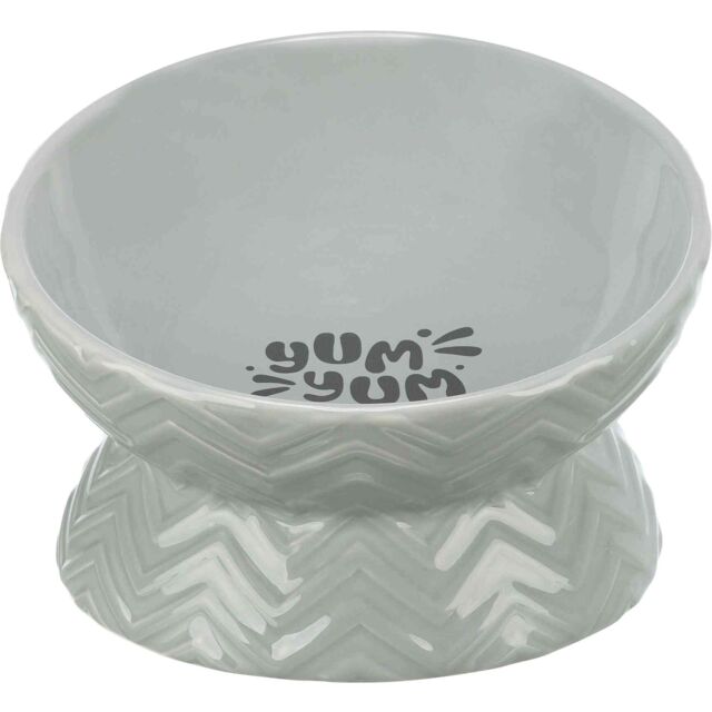 Ceramic Bowl