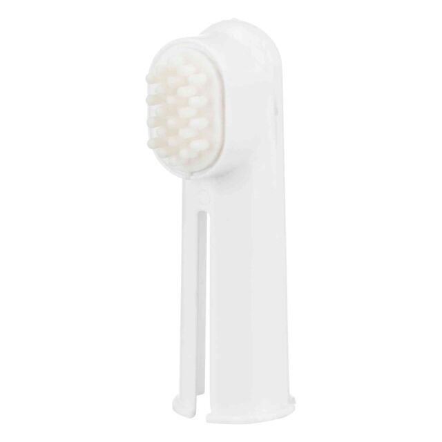 Tooth Brush Set