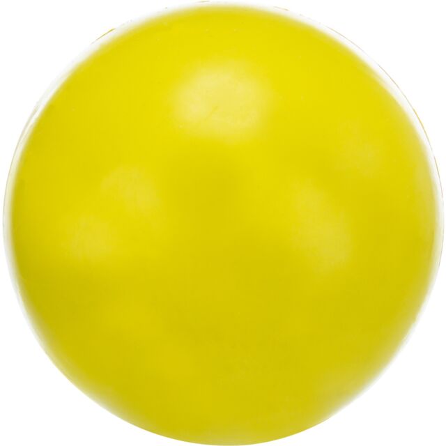Ball for Dogs