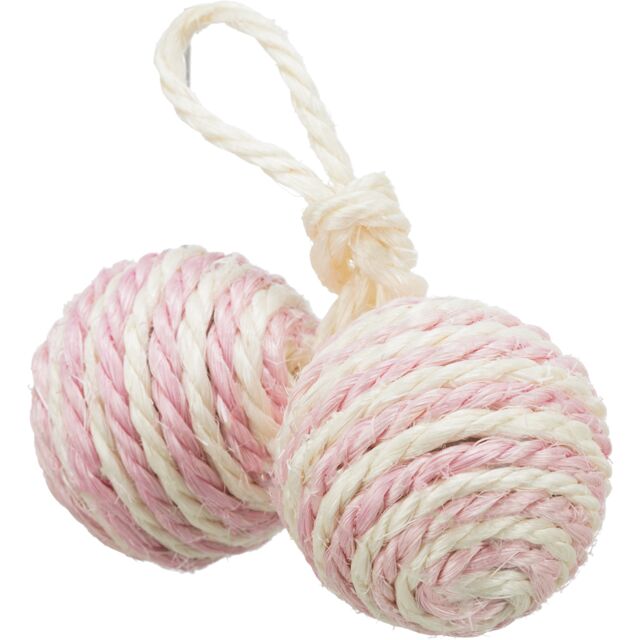 2 Balls on a Rope