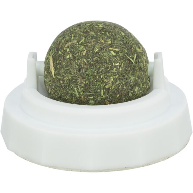 Catnip Ball with Holder