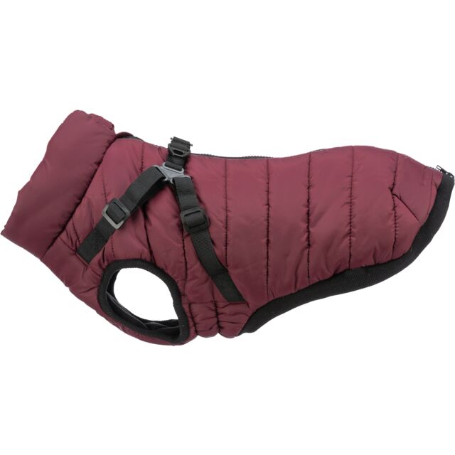 Wintercoat with harness Pirou