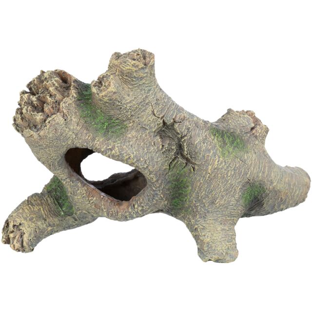 Tree Stump