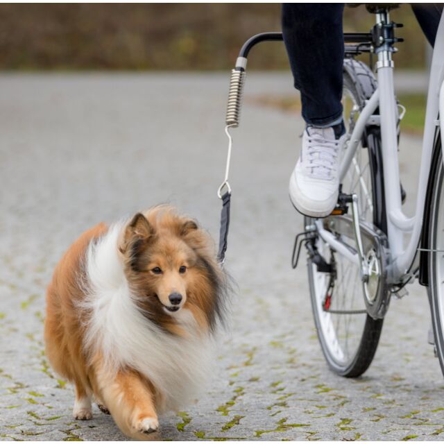 Dog Biker Kit