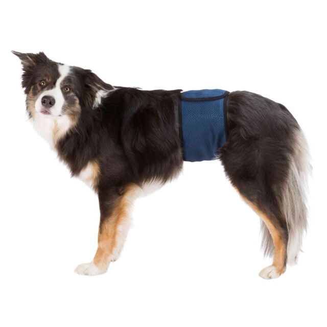 Nappies for Male Dogs, washable