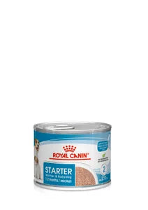 Royal Canin Hund Mother & Babydog Starter Mousse 195g