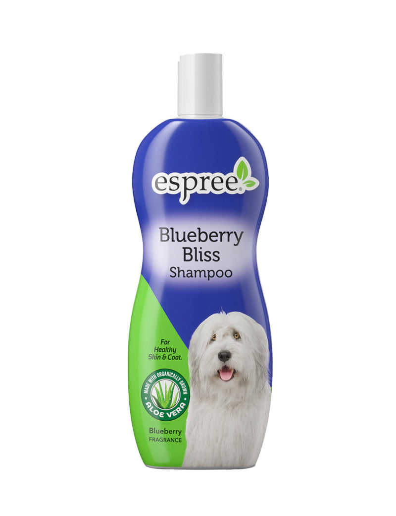 Blueberry Bliss Shampoo