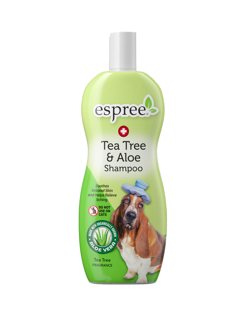 Tea Tree & Aloe Shampoo