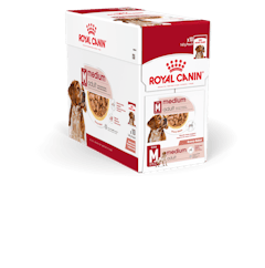 Royal Canin Hund Medium Adult Gravy 10x140g