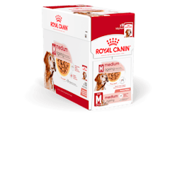 Royal Canin Hund Medium Ageing Gravy 10x140gr