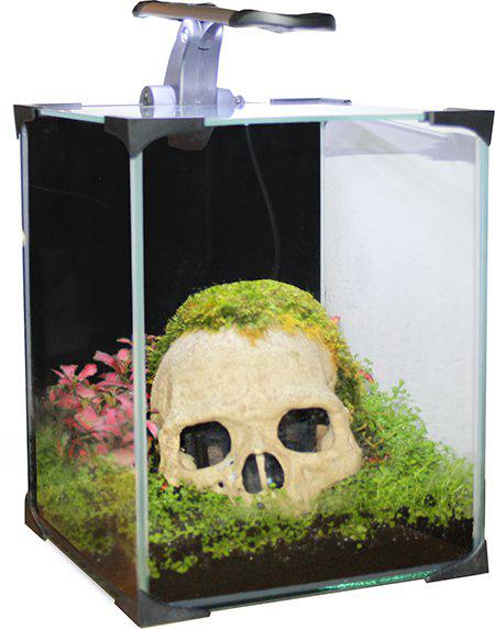 Akvarium Nano Led 10 20X20X25Cm