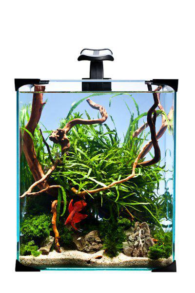 Akvarium Nano Led 20 25X25X30Cm