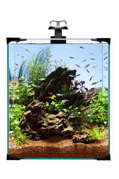 Akvarium Nano Led 30 30X30X35Cm