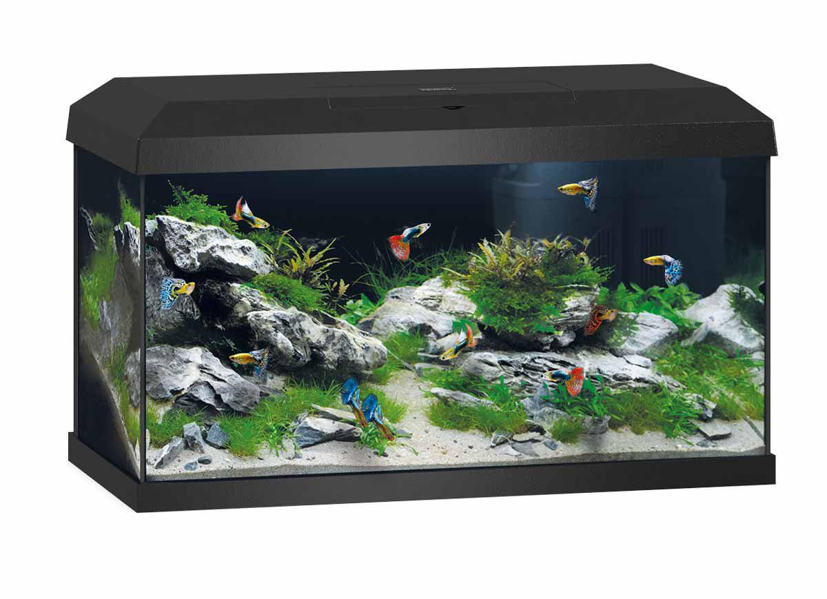 Juwel Akvarium Primo 60 Svart 2,0 61x31x37cm