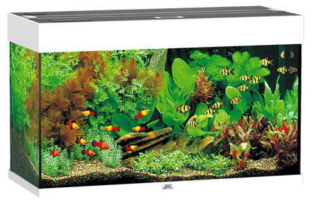 Juwel Akvarium Led Rio 125 Vit 81X36X50Cm 125L