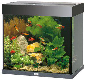 Juwel Akvarium Led Lido 120 Svart 61X41X58Cm 120L