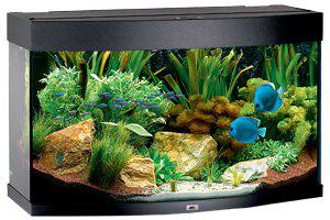 Juwel Akvarium Led Vision 180 Välvd Svart 92X41X55Cm 180L