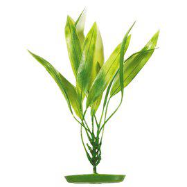 Plastväxt Amazon Svärdplanta 20Cm