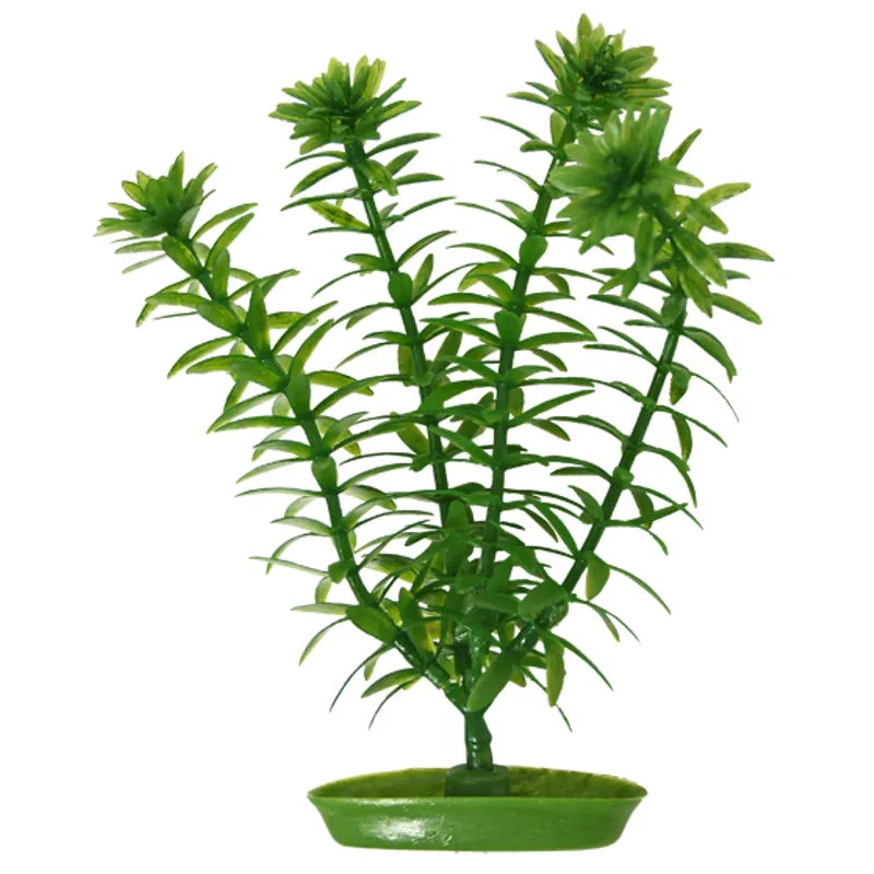 Plastväxt Anacharis13Cm