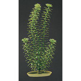 Plastväxt Ambulia 20Cm
