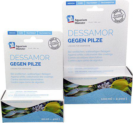 Munster Dessamor 20Ml