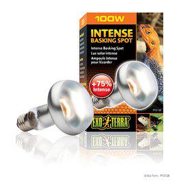 Intense Basking Spot 100W S25 E27 Exterra Orange