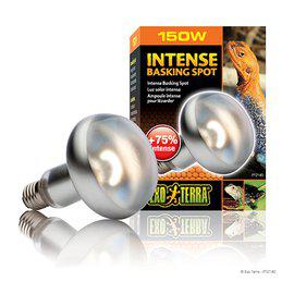 Intense Basking Spot 150W S30 E27 Exterra Orange