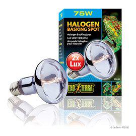 Halogen Basking Spot 75W R25 E27 Exoterra