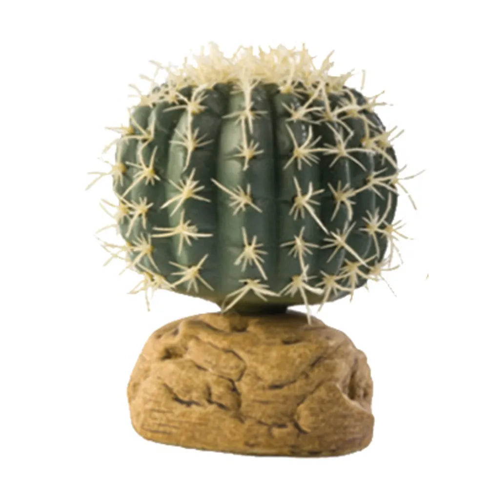Bollkaktus Liten Ökenväxt Exoterra 7X7X9Cm