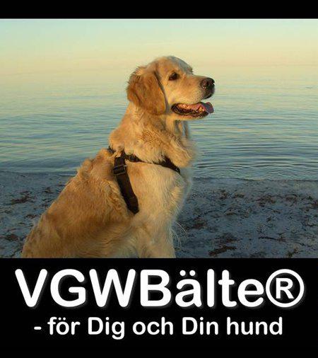 Vgw Bälte Extensionsvart Xl 74-83Cm Bröstomfång